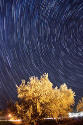 Star Trails