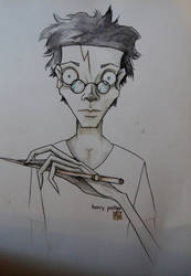 harry potter