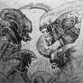 Xenomorp Family