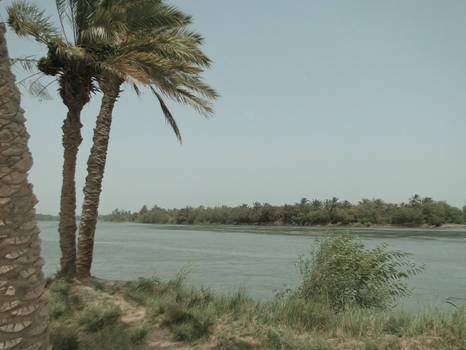 Palm River