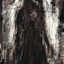 Dea Mortuorum (*)