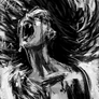 Quae Exclamavit (*)