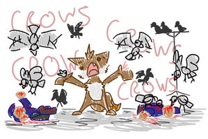 CROWS!