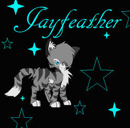 jayfeather