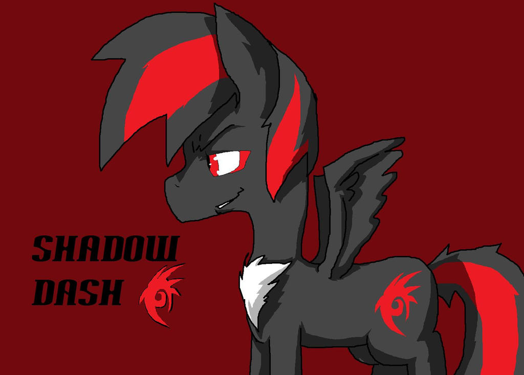 Shadow Dash (2) by shadowdash1993 on DeviantArt