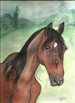 Watercolor Arabian