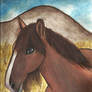 Watercolor Mustang