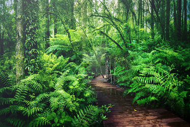 Premade Rain Forest by AlexandriaDior