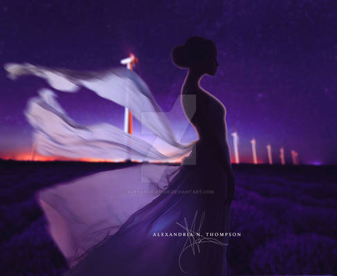 Lavender Nights