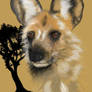 African Wild Dog Portrait