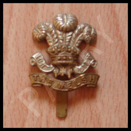 Welsh Regiment Cap Badge