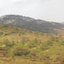 Ngorongoro Crater