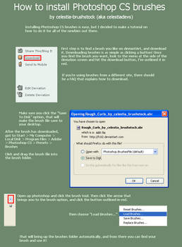 How To: Install PS Brushes