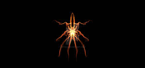 Insectoid 2