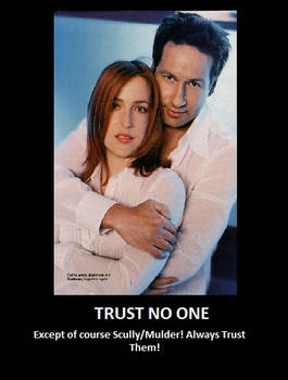 Trust MSR Demotivational