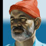 Steve Zissou work in progress