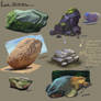 Rock Studies