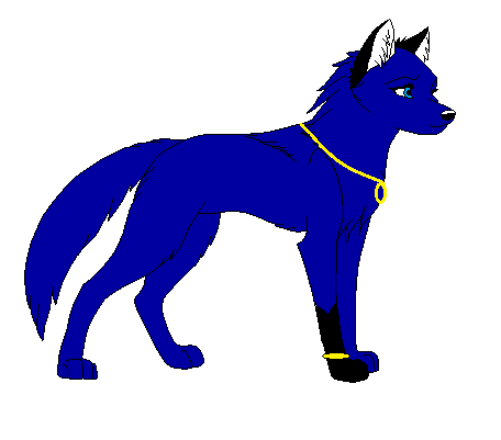 Salaris as a Wolf