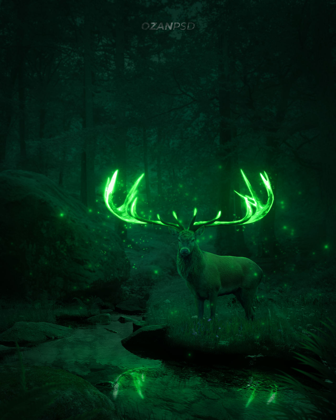 Forest Ranger by ozanpsd on DeviantArt