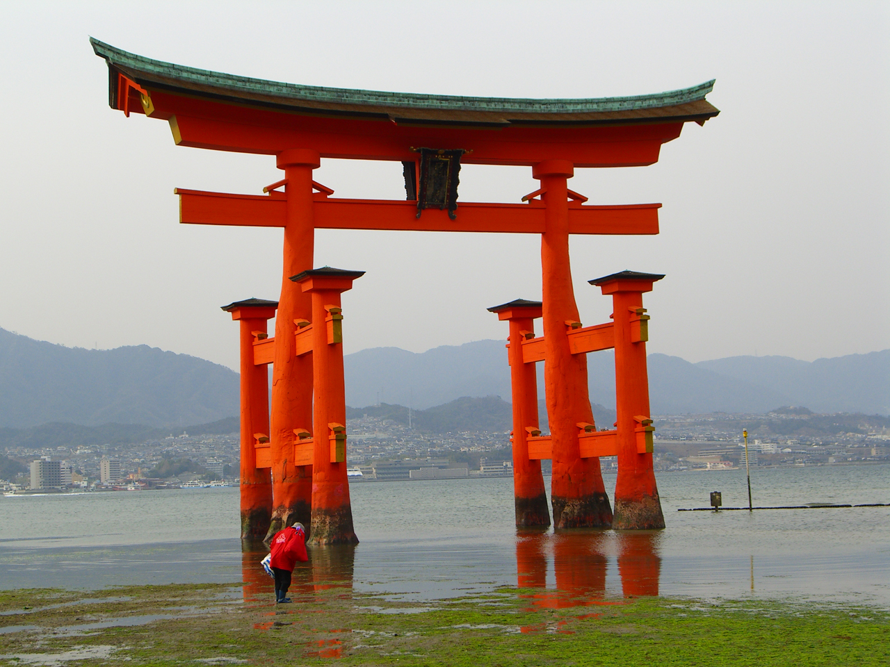 Torii