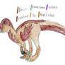Yandusaurus hongheensis