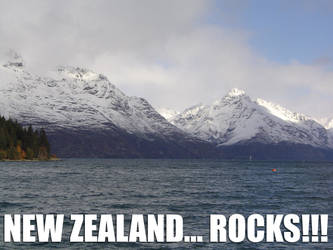 New zealand rocks