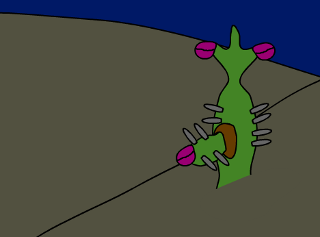 Speculative Evolution Challenge #4: Cactus mimic