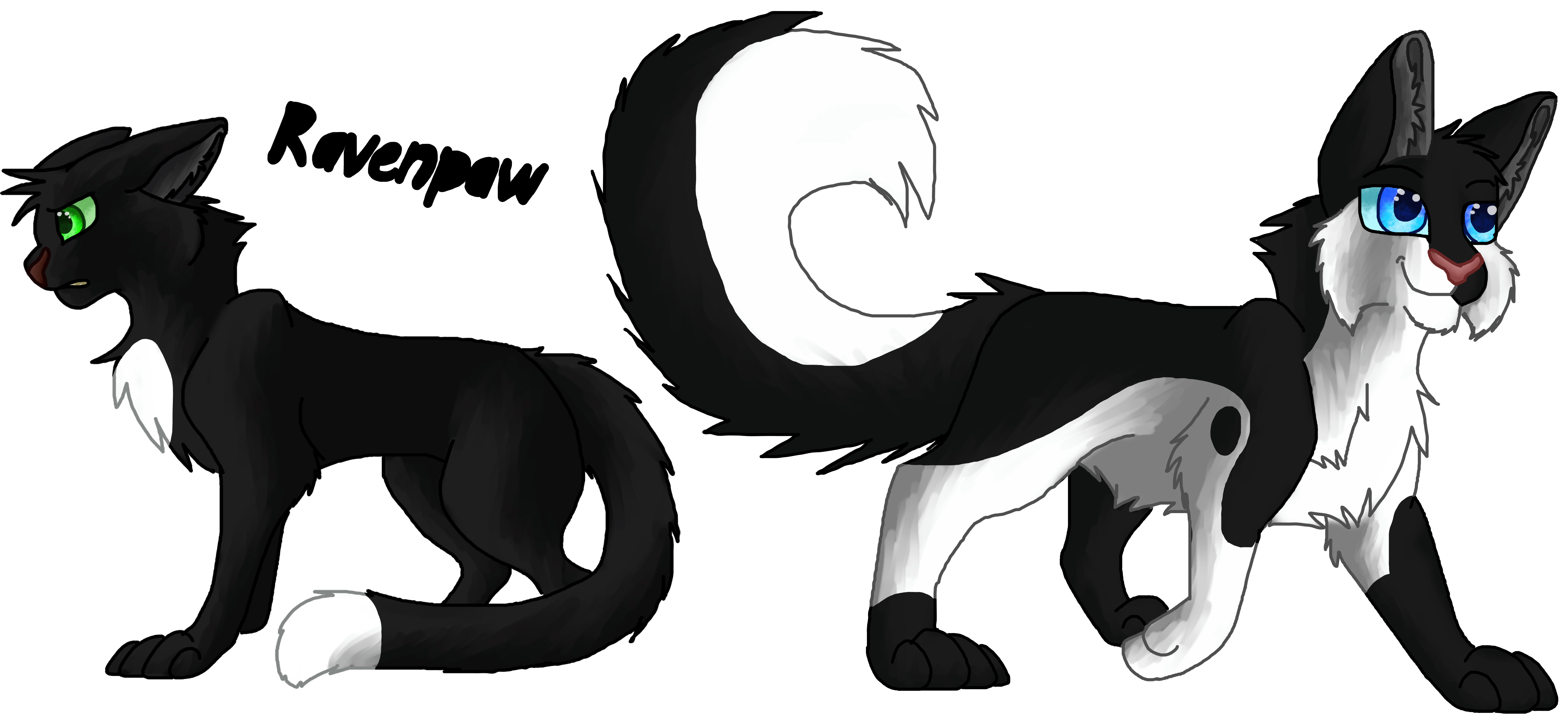 Warriors Cats - Ravenpaw by AnimalLover4Ever on DeviantArt