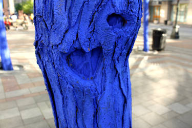 Blue Bark