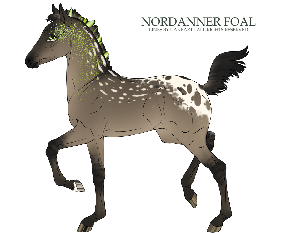 Nordanner Foal #6623