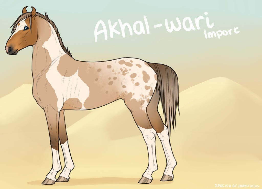 Akhal-Wari Import 81
