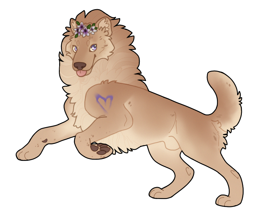 Tokota Of The Month By Tokotime On Deviantart Design Central Tokotas November 2022