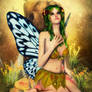 Fairy Waiting of miracle