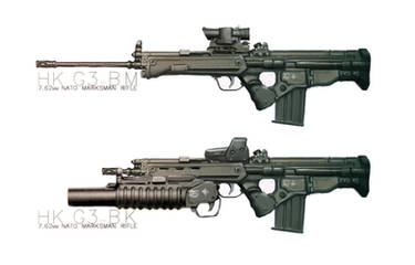 Rifle Concept