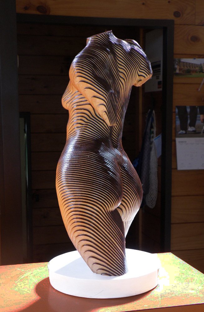 Rosie, The topology of the Torso by olivierduhamel