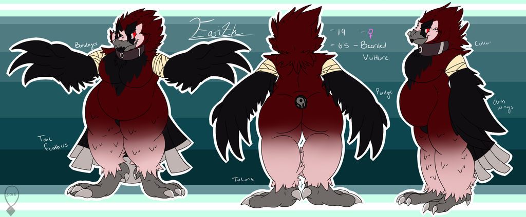 Official Reference Sheet: Faith Bearded Vulture