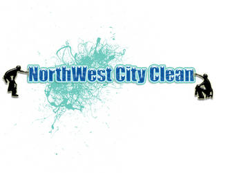 Window Cleaning Company