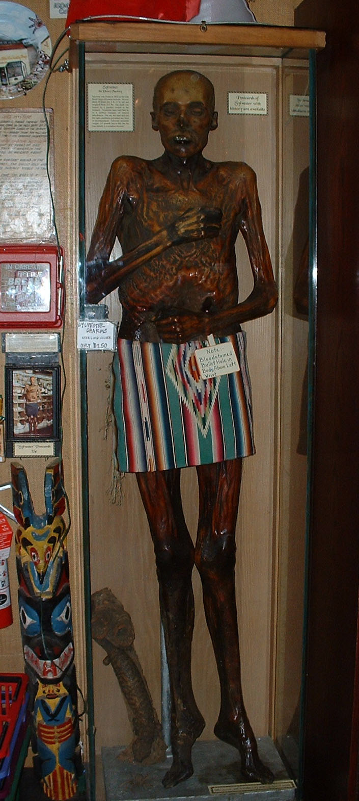 Male Mummy 1