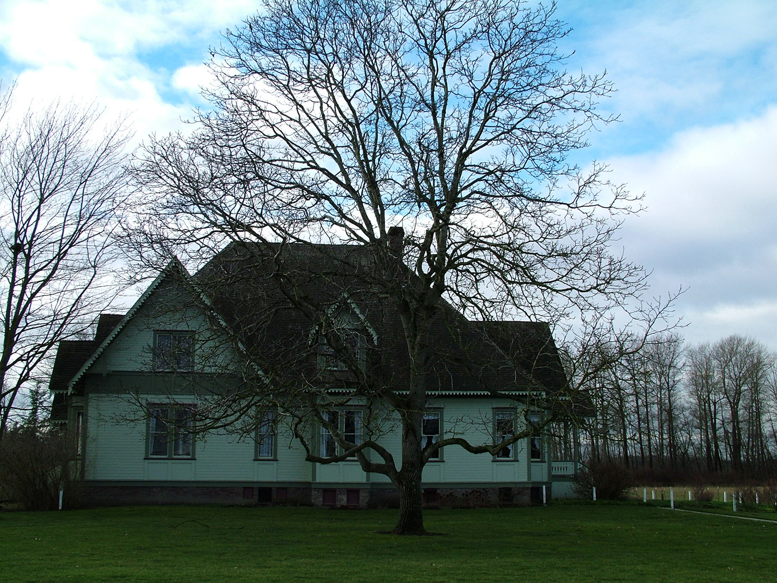 Ol house 2 w tree