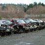 junk yard - crashed cars 1
