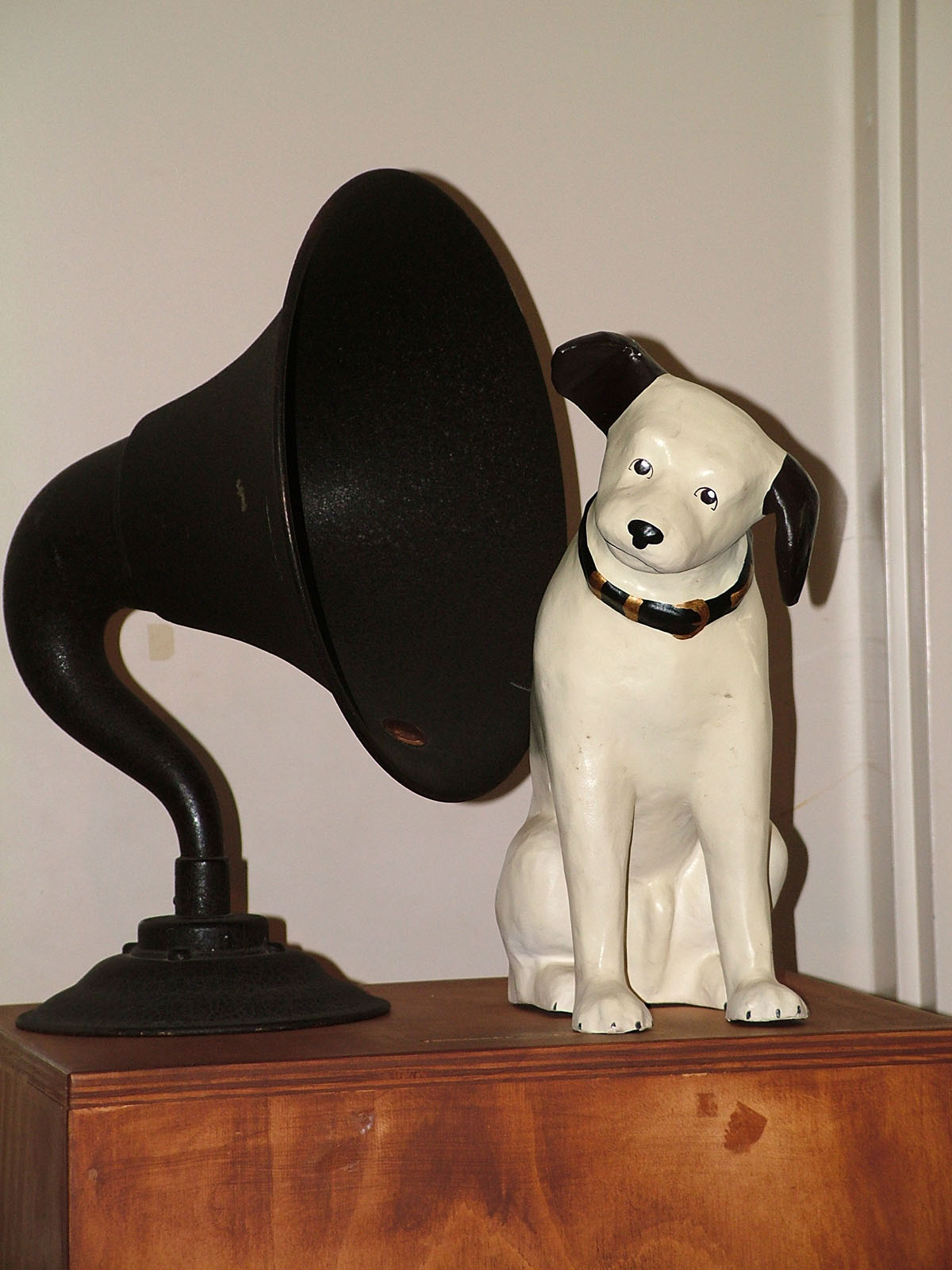 that radio dog