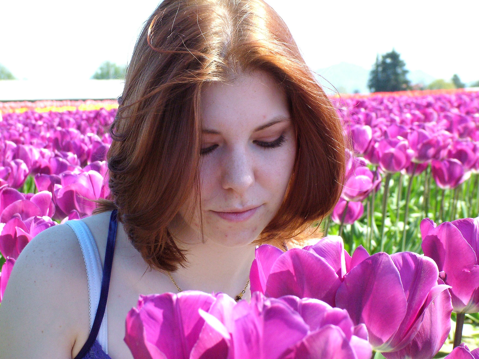 Miss B in the tulips 1