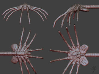 Facehugger - WIP1