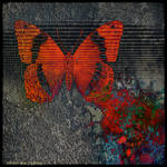 Ab09 Butterfly Dream by Xantipa2