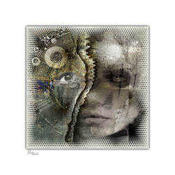 M16 ... Collage2016-052