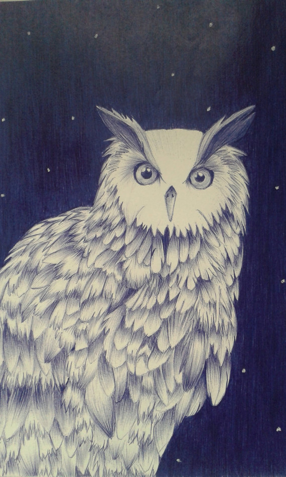 Owl ballpoint drawing