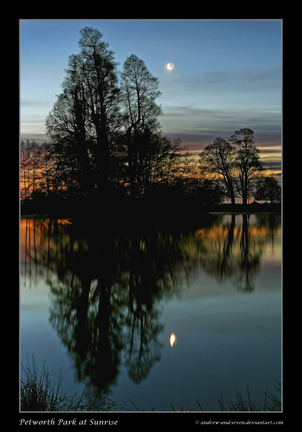 Petworth Park at Sunrise