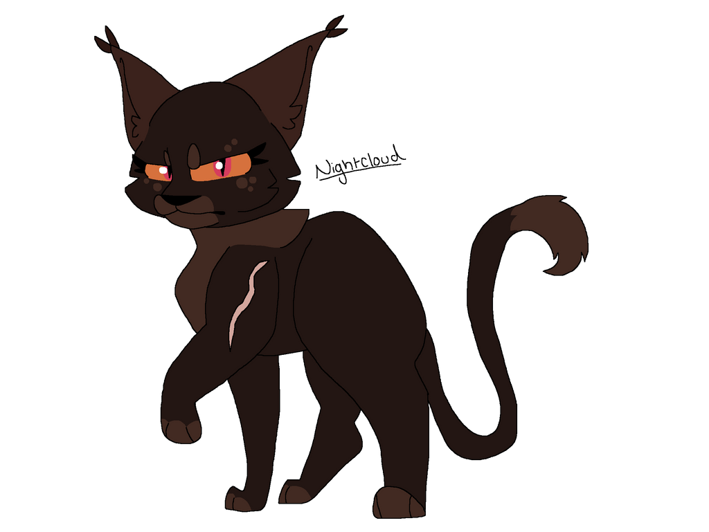 Nightcloud by Pawpal7 on DeviantArt