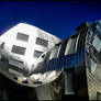 Abstract Exterior - Gehry VI