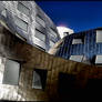Abstract Exterior - Gehry VII